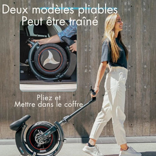 RideFlex